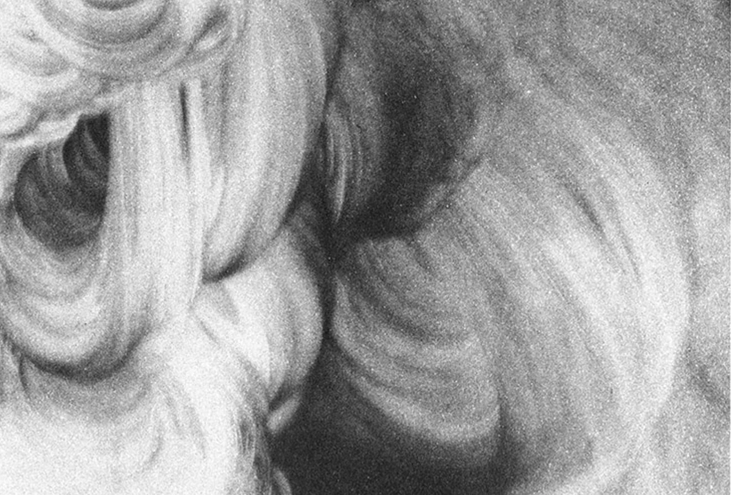 Monochrome close-up drawing of folded organic forms