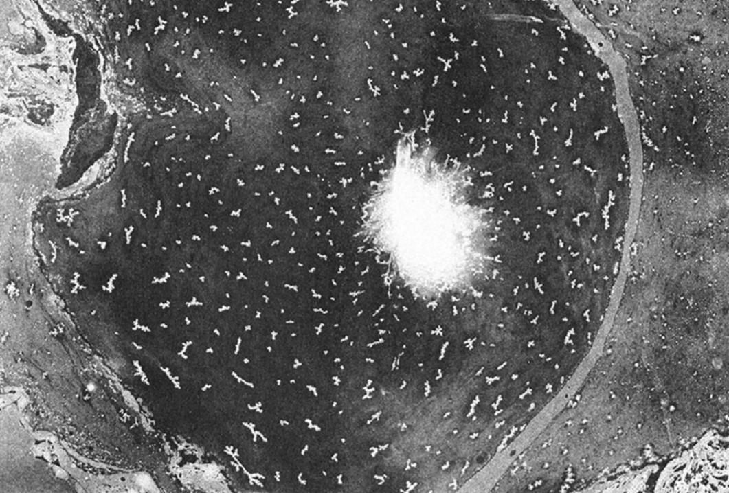 Textured monochrome circular field with a glowing white centre